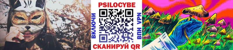 Псилоцибиновые грибы Psilocybine cubensis  Хасавюрт 