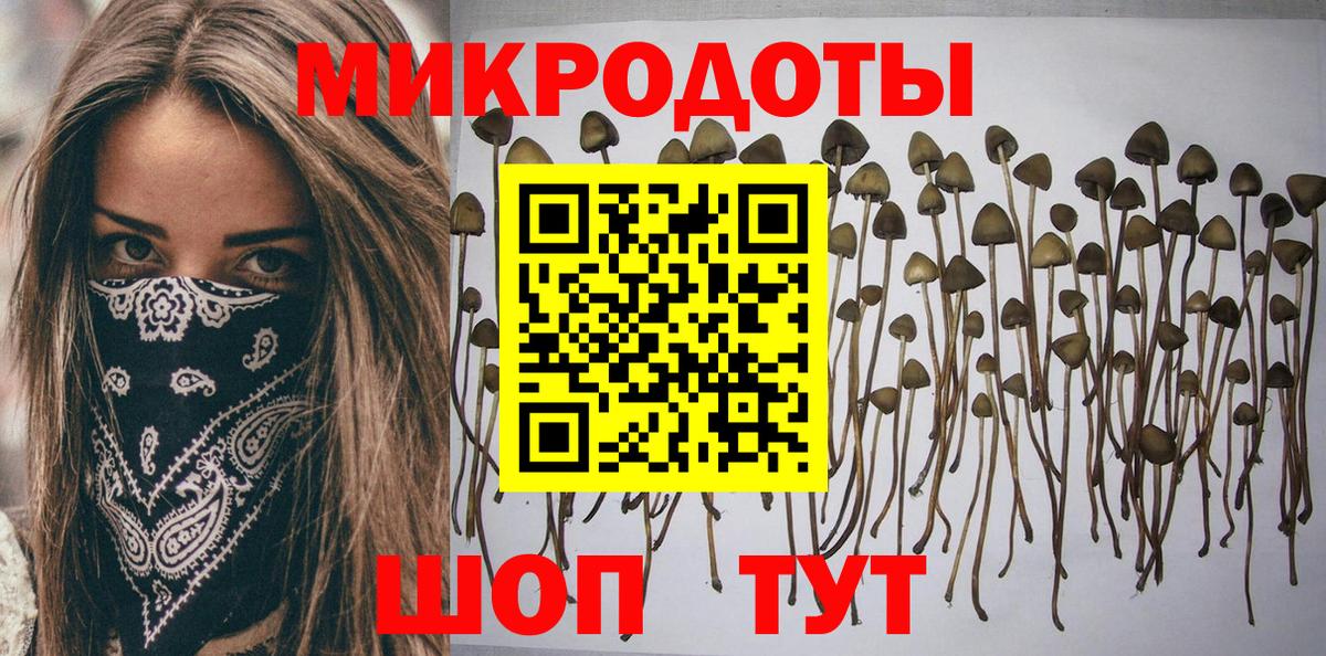 Галлюциногенные грибы прущие грибы  Вход с VPN  Хасавюрт 