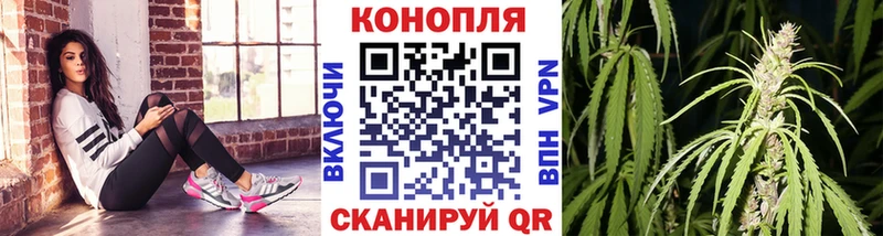 где купить наркоту omg сайт Канабис SATIVA & INDICA Хасавюрт